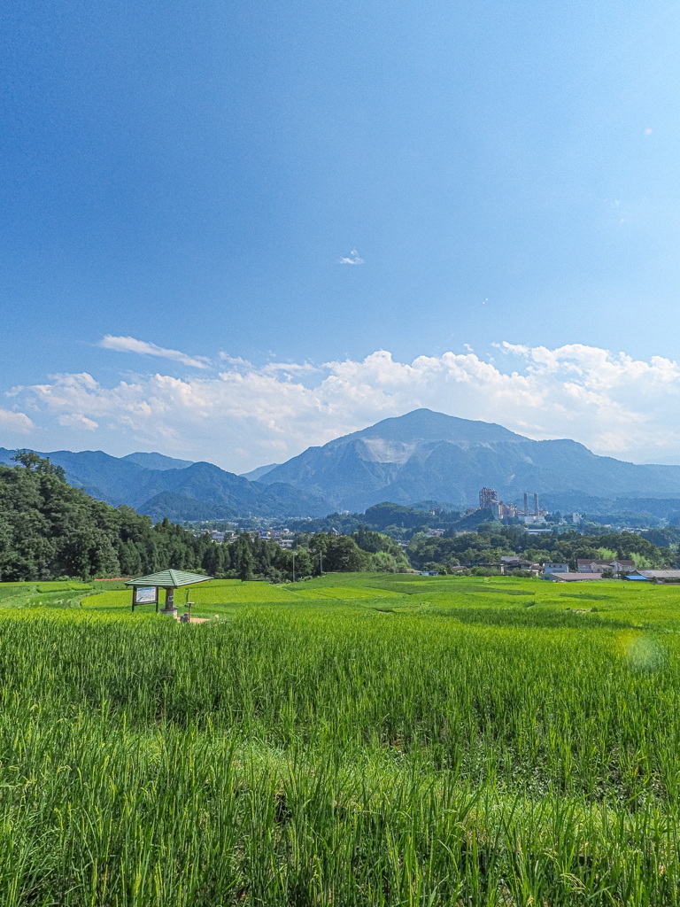 寺坂棚田と武甲山