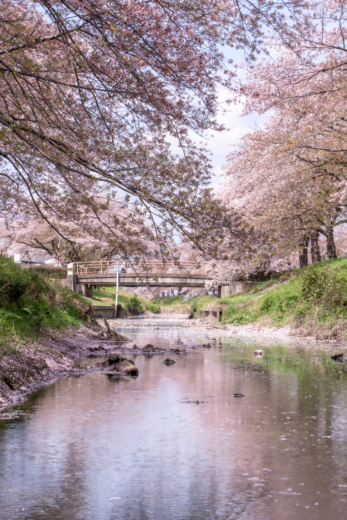 伊佐沼公園
