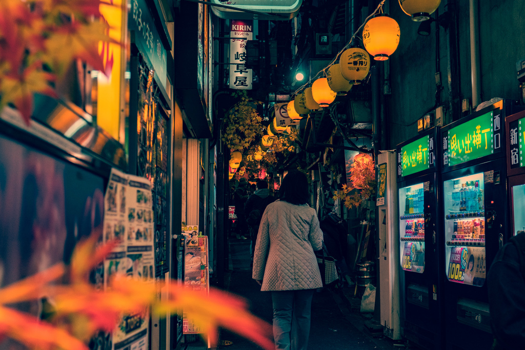 秋の思い出横丁