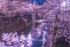 板橋十景 石神井川