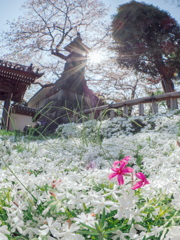 松月院