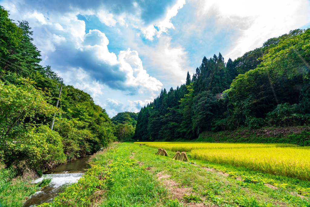 とある田舎の田川風景
