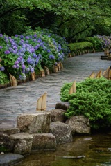 横須賀三笠公園