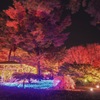 紅葉見ナイト2