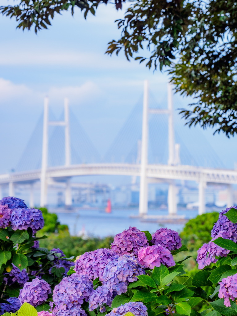 港の見える丘公園