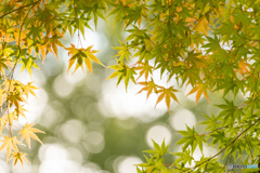 移り変わり