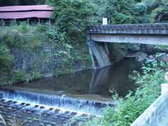 多度川1