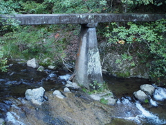 多度川7