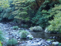 多度川6