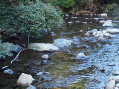 多度川5