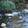 多度川5