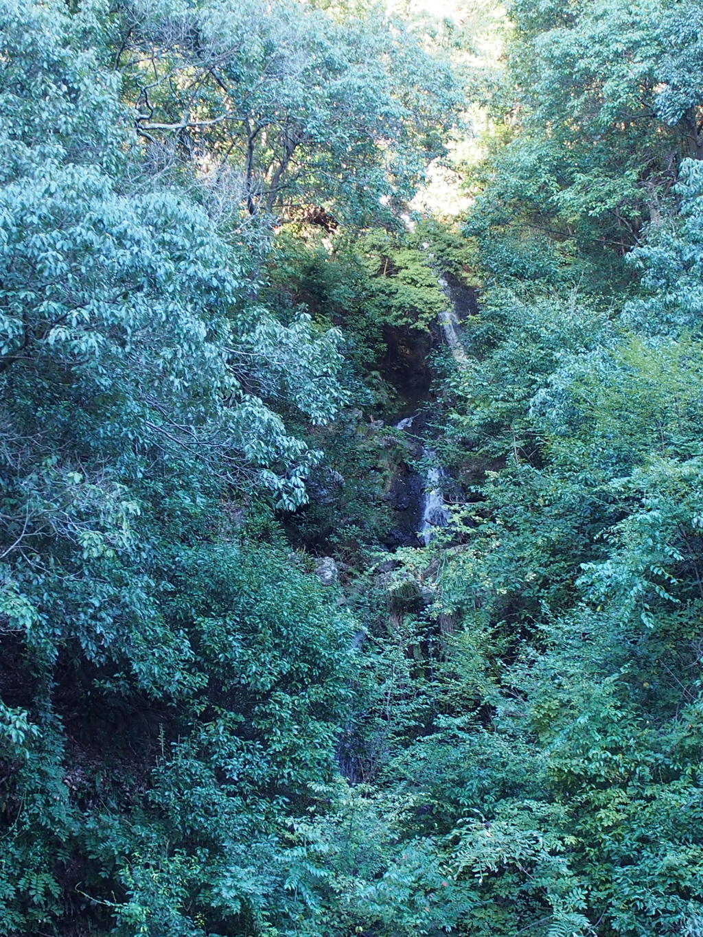 多度川4