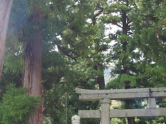 鳴谷神社2