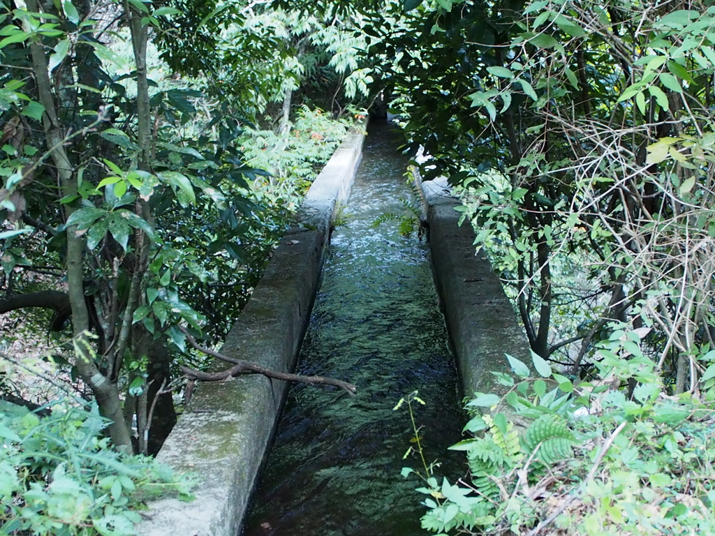多度川3
