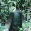 多度川3