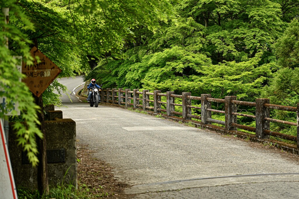 12C0618C-6817-4A5B-964D-D3934F161A0B