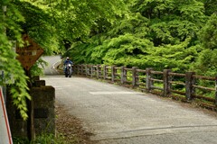 12C0618C-6817-4A5B-964D-D3934F161A0B