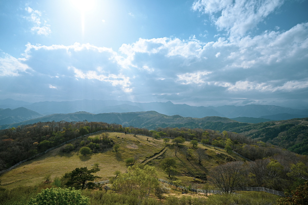 35328CDB-5287-4670-A164-0C0A564FD278