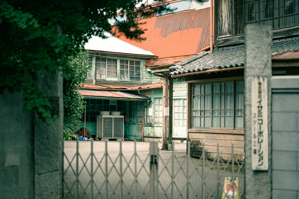 素敵な日常3