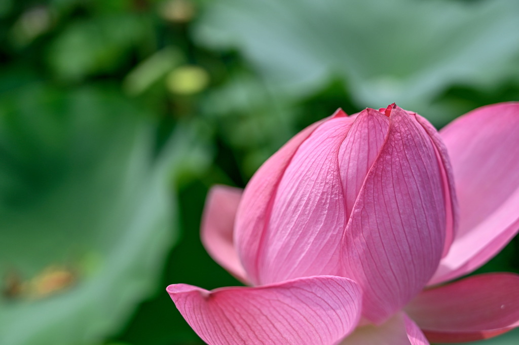 3D83673D-33B7-4D5C-B565-C6B8EDB88E03