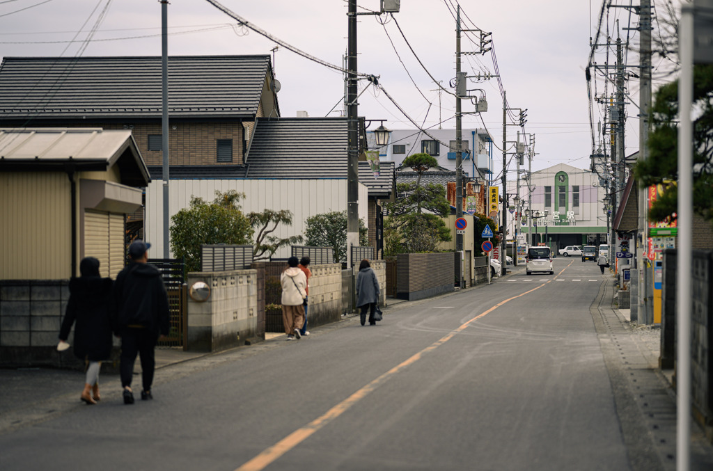 青毛堀川の河津桜9