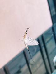 9CCB3987-C5AF-40FB-831C-C2C840BE6228