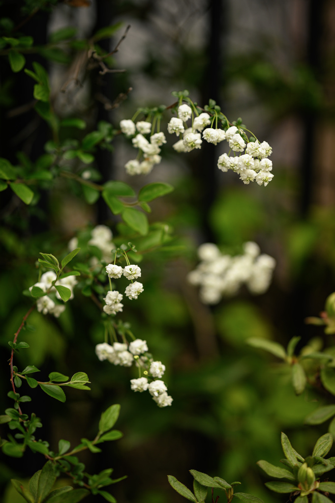 春花正夹岸，何必问桃源6