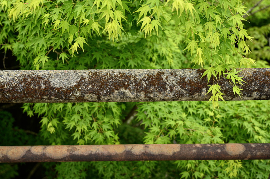 2584DCDB-A2C3-42F7-B1DA-DFD0E0EFBADC