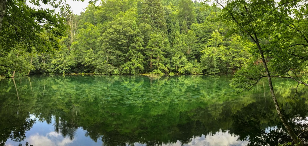 03583C22-A326-43F5-9306-04E237B6070D