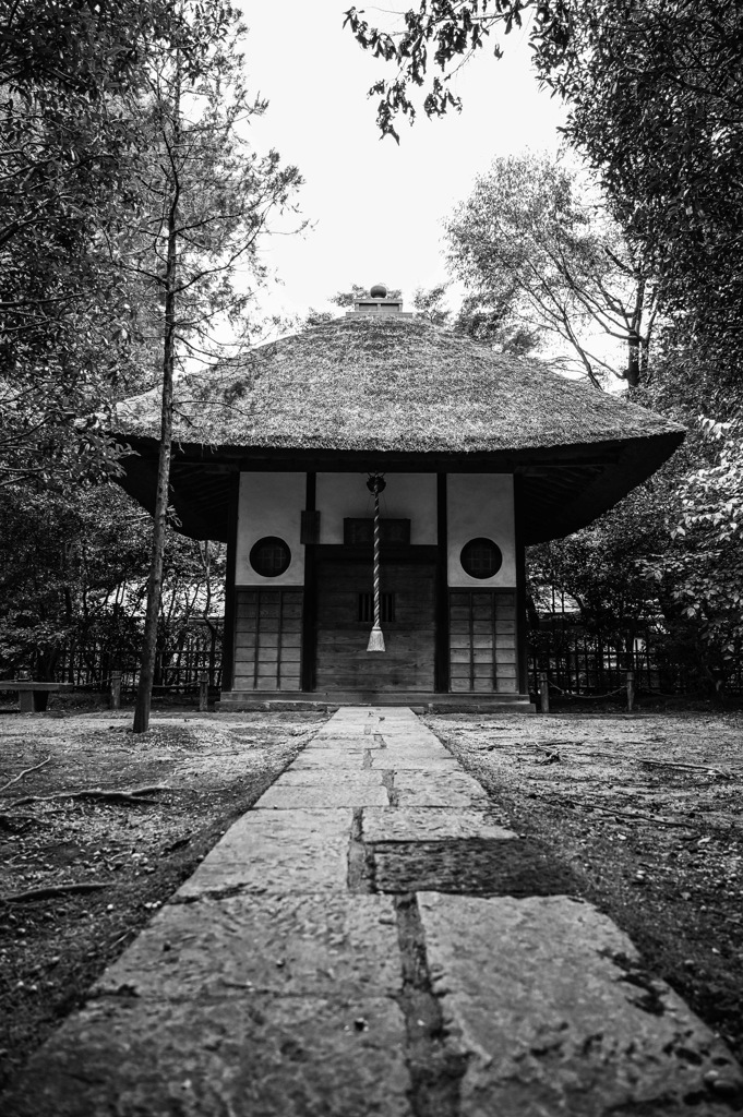 D5AB87F2-0291-41CE-892E-F911CA720853