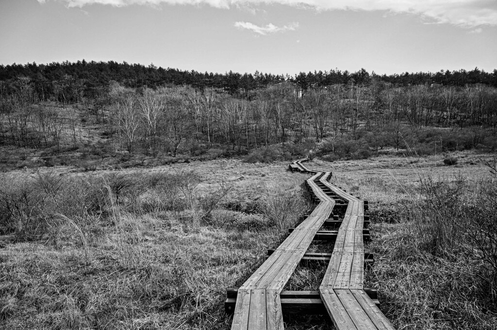 AECBFC9F-BEB0-4F5F-B6EB-0E1272F92FDA