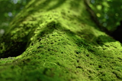 175B0C07-32EC-4450-92DA-5F2F59BDC275