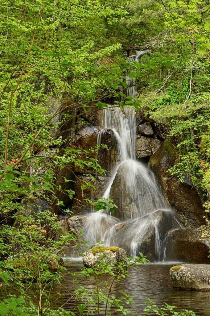 F150C495-1FE4-4AA8-B42C-3706A32649A3