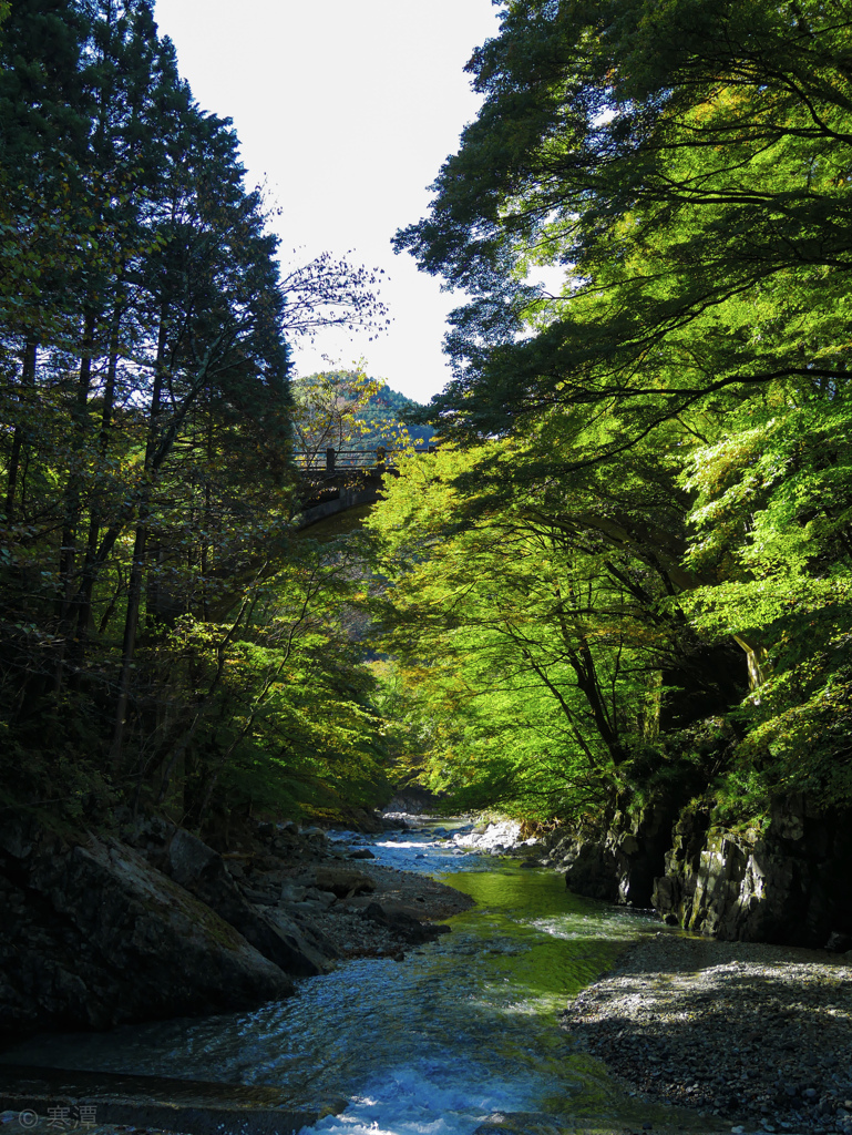 8F5E3423-E348-495D-A936-AEDE4A37C5C6