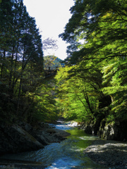 8F5E3423-E348-495D-A936-AEDE4A37C5C6