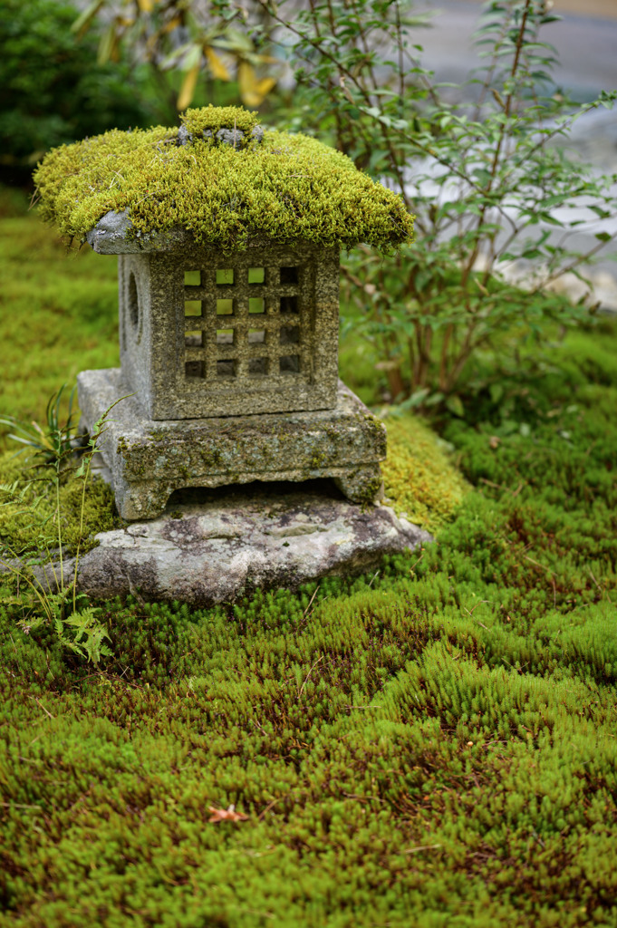 心の郷8