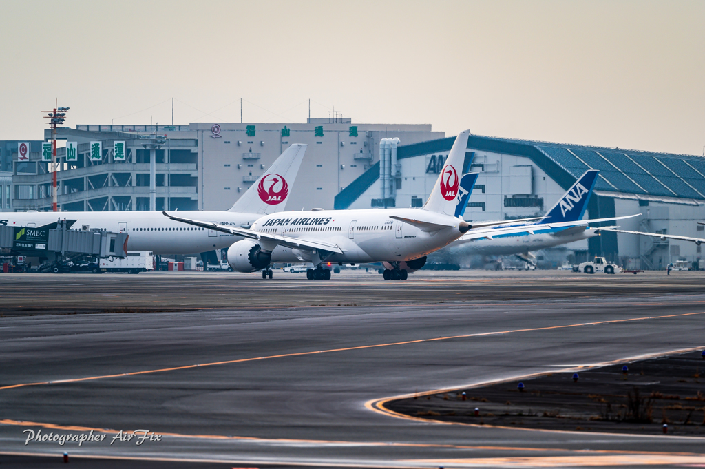 JAL Boeing 787-8 Dreamliner