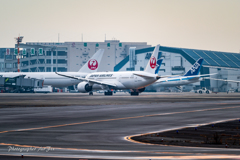 JAL Boeing 787-8 Dreamliner