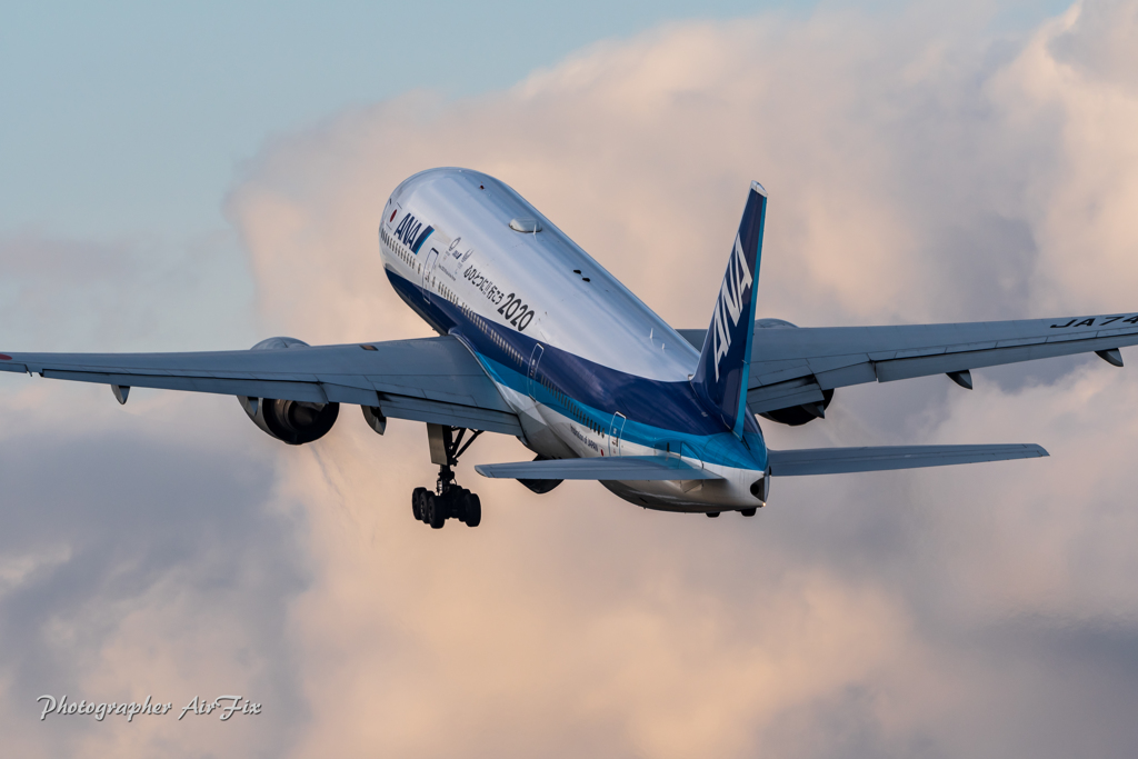 ANA JA745A 556