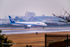 Itami Airport of rain W1!! JA825A