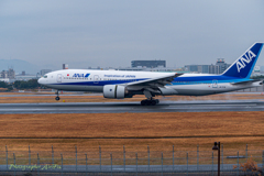 Rainy Itami Airport