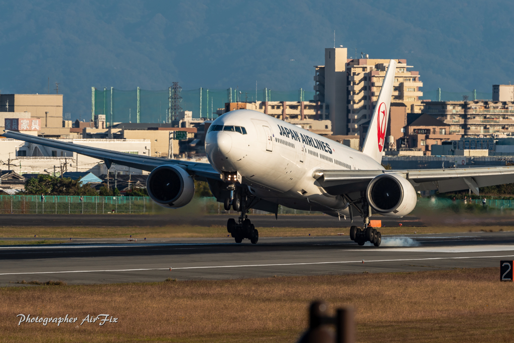 Touch down smoke JAL JA008D