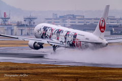 Itami Airport of rain JA602J