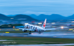 梅雨の楽しみ方 Ⅳ