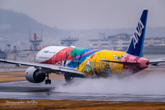 Itami Airport of rain JA741A（ハロタンJet）
