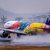 Itami Airport of rain JA741A（ハロタンJet）