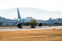 2026空港の日の出Ⅻ