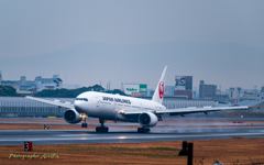 Rainy Itami Airport Ⅱ