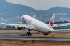 JAL JA771J