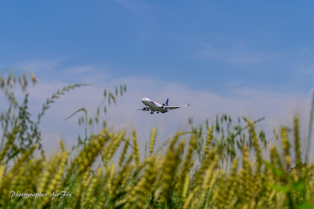 NRT Bラン降り FedEX MD-11